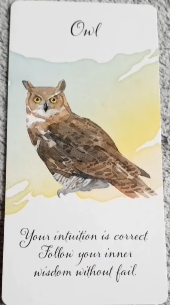 Divine Feather Messenger